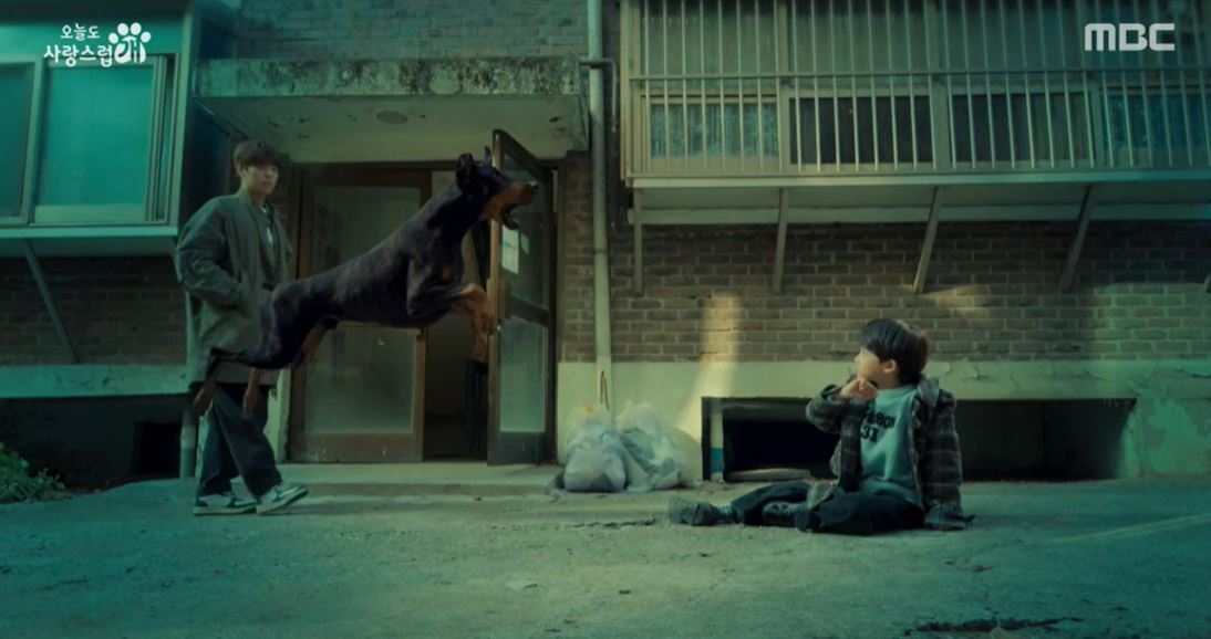 오늘도사랑스럽개_11회