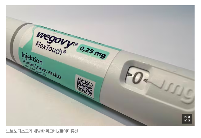 마운자로 부작용 & 대처 방법 (+사용 후기)