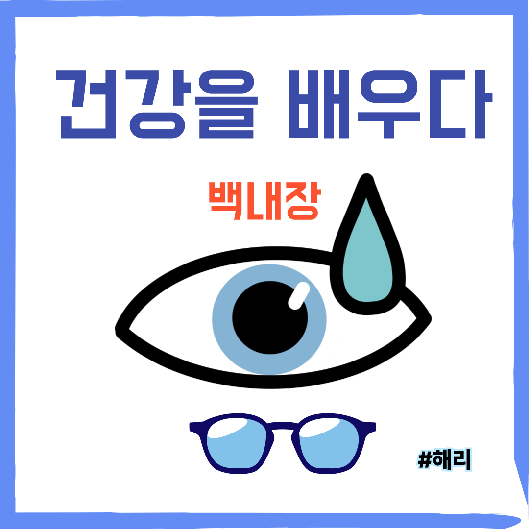 눈에 질환-백내장의 모습을 나타낸 모습