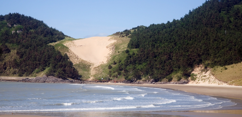 사구가 보이는 돈목해변