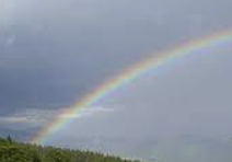 ISTP 유형 특징 분석