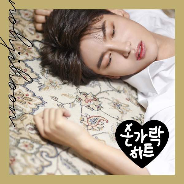 노지훈 프로필
