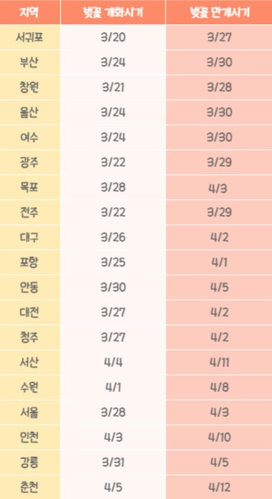 벚꽃_개화_만개시기