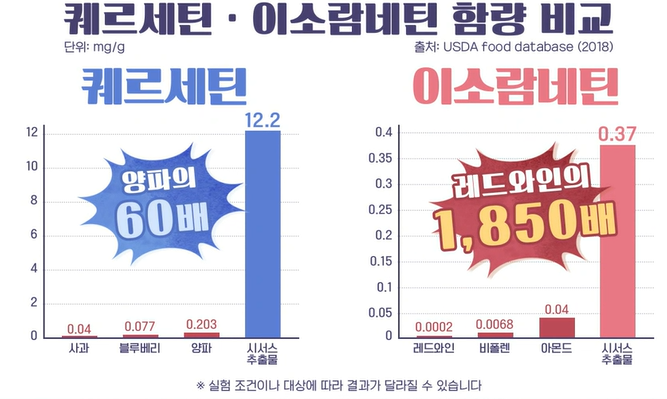 시서스 효능