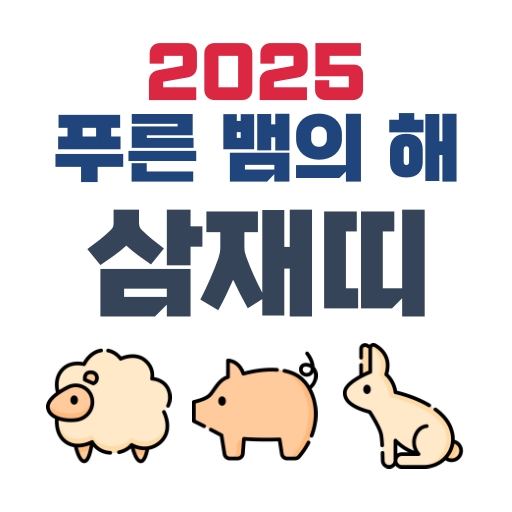 2025년 삼재띠