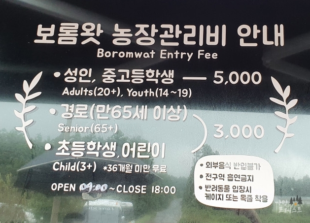 표선 보롬왓 입장료