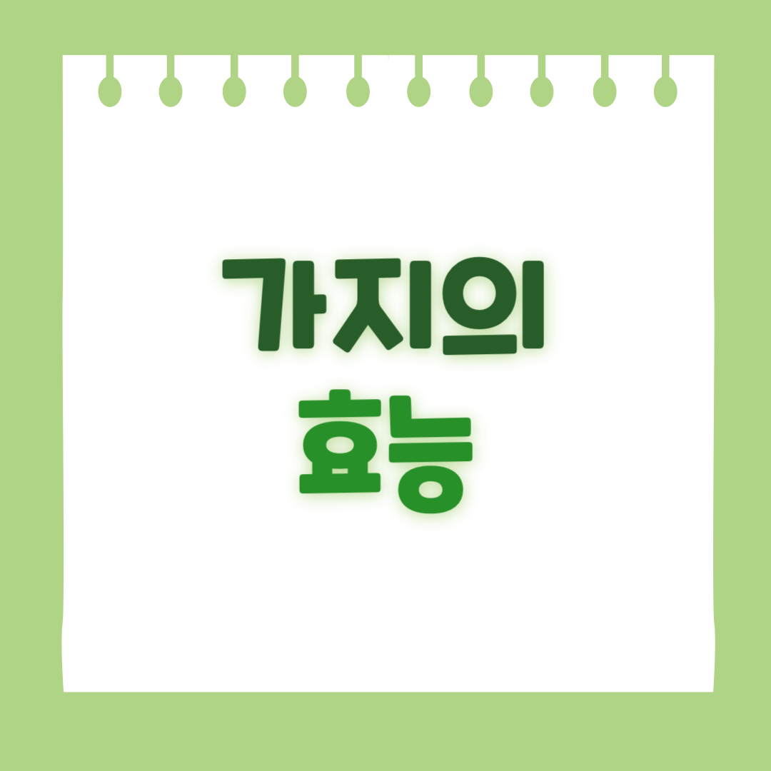 가지의 효능