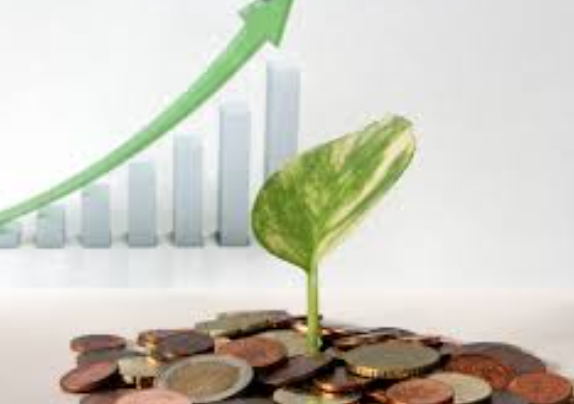 점점 성장하는 자산을 보여주는 사진