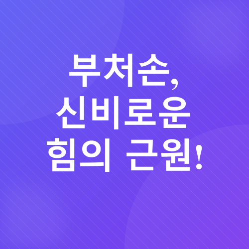 부처손 효능_2