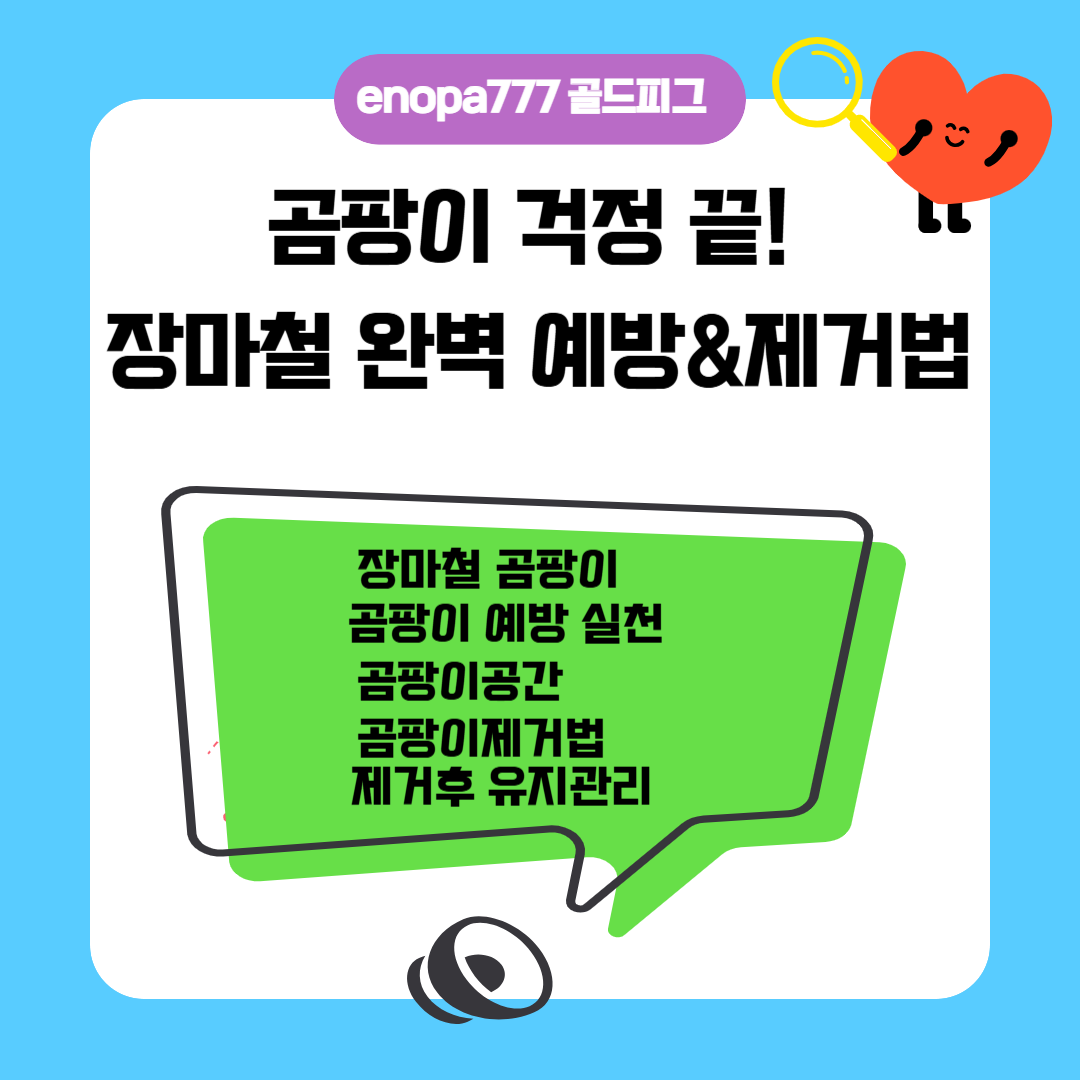 곰팡이 걱정 끝! 장마철 완벽 예방&제거법