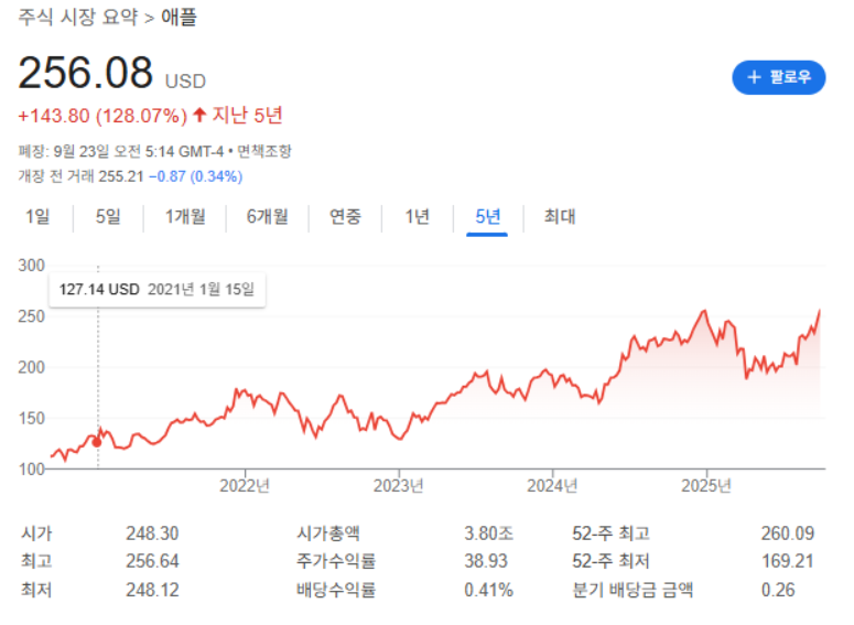 애플 주가차트