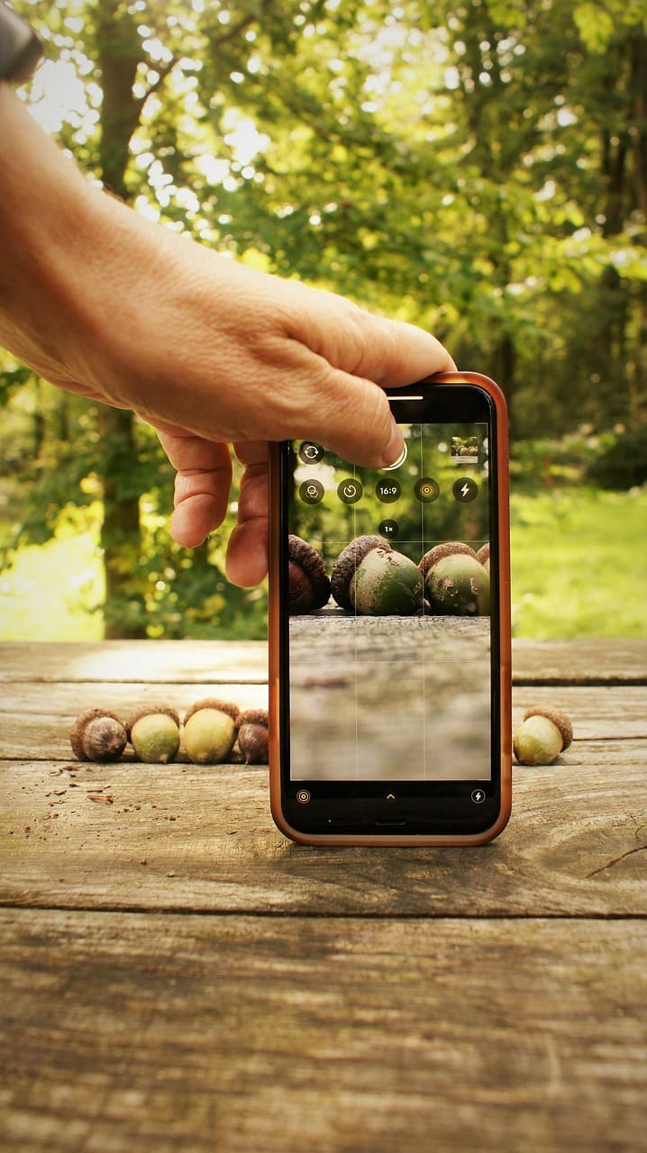 시니어 디지털 취미 입문 스마트폰으로 사진 찍고 편집하기