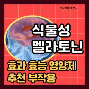 식물성 멜라토닌 효능_23