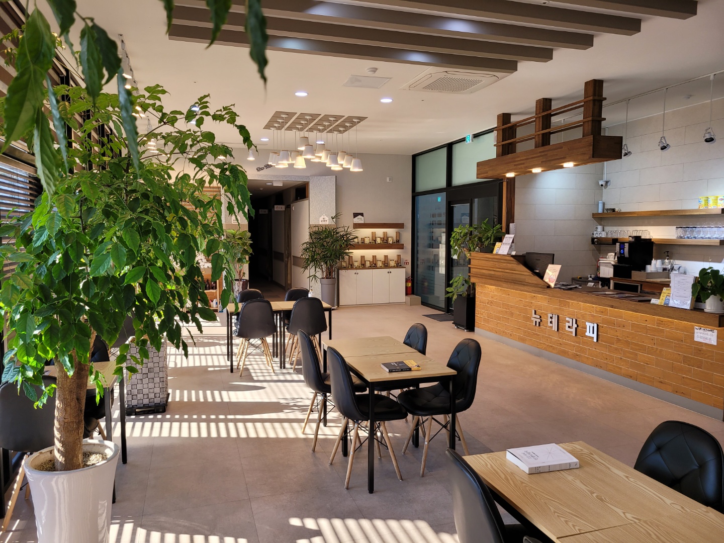 뉴테라피 타이&아로마