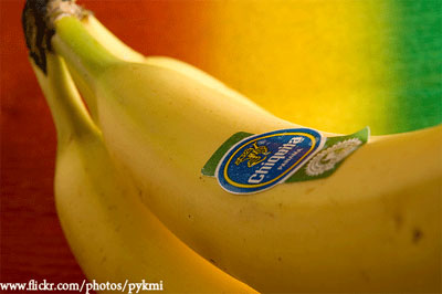 불면증에 좋은 음식 및 불면증에 좋은 식품,불면증에 좋은 약초