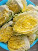 2023년 절임배추