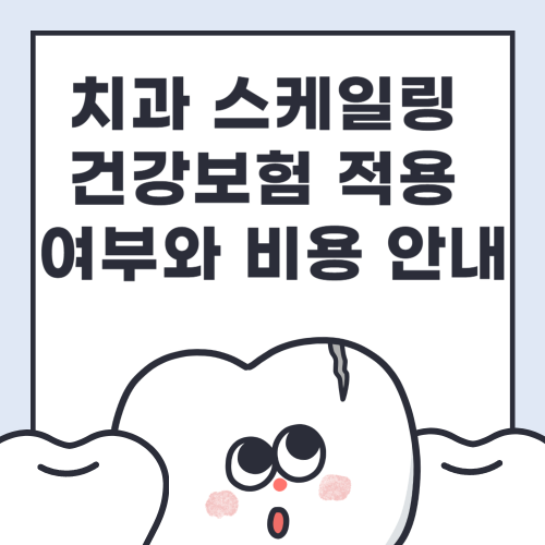 치과 스케일링 건강보험 적용 여부와 비용 안내 관련 사진