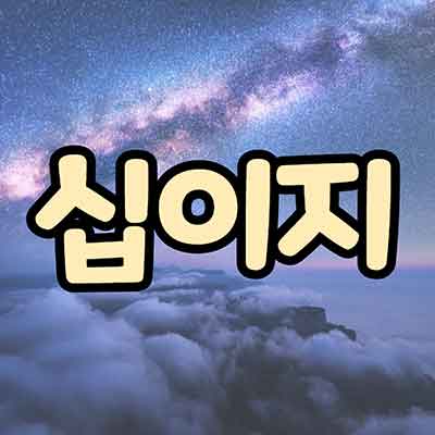 십이지