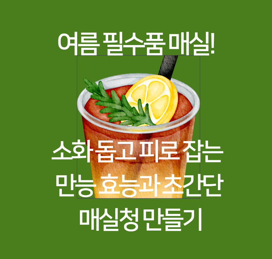 여름 필수품 매실! 소화 돕고 피로 잡는 만능 효능과 초간단 매실청 만들기