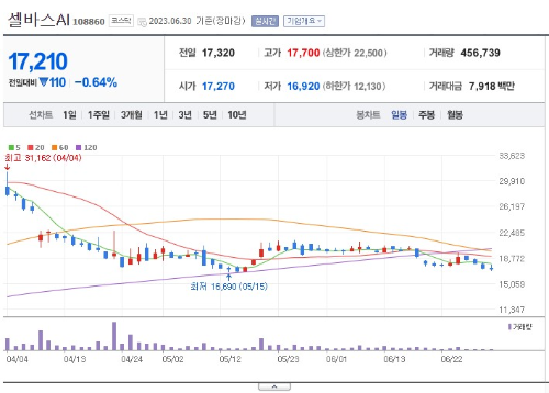 인공지능 테마주 셀바스AI 주가 전망