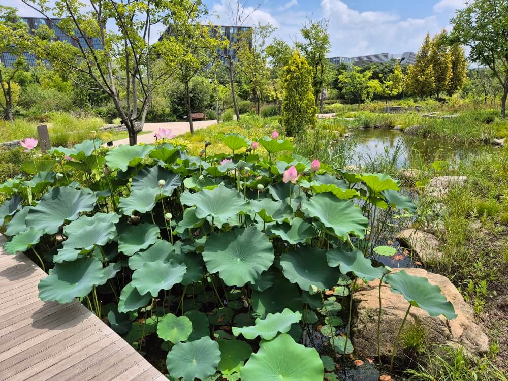 서울식물원 관련 사진2