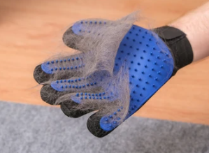 고양이 빗 추천