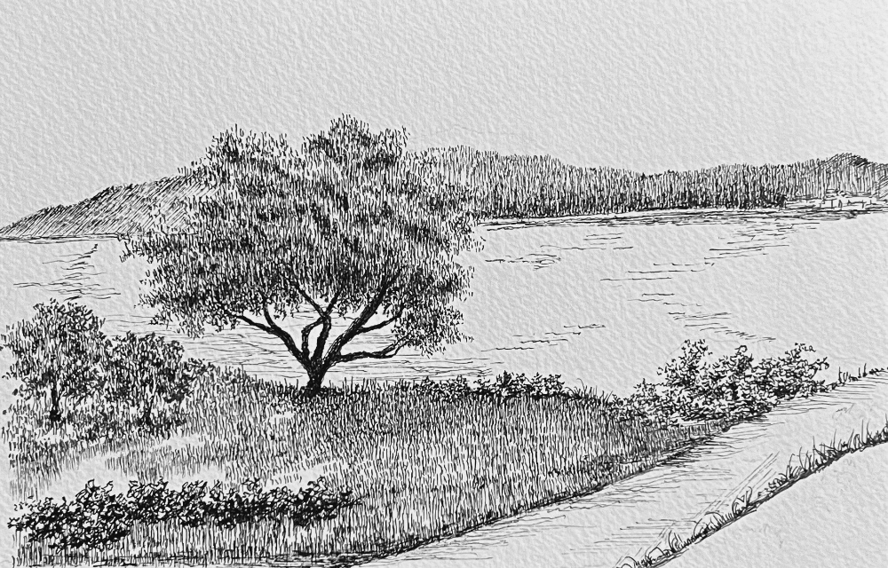 공기원근법 적용 예시