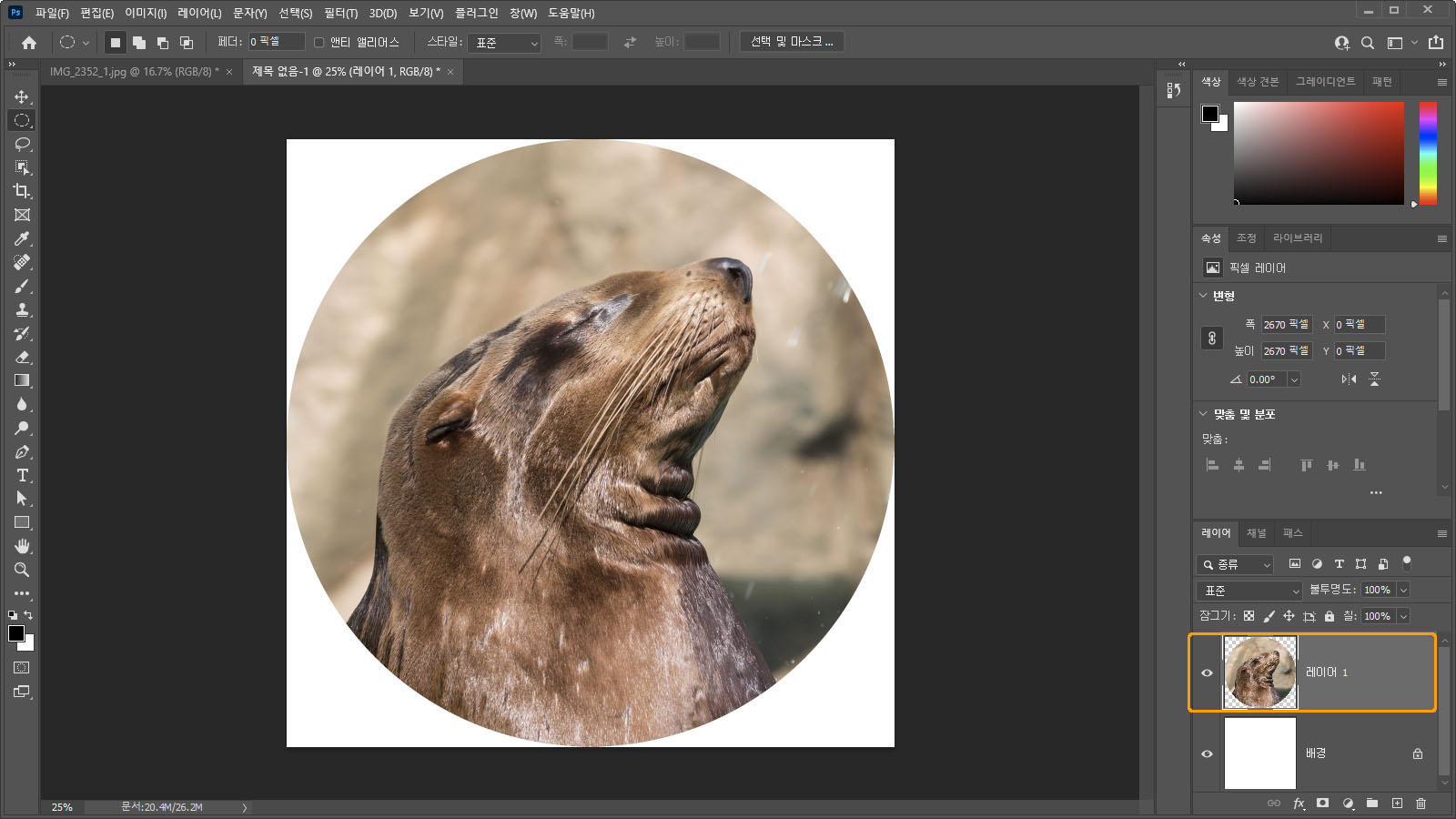 이미지 붙여넣기