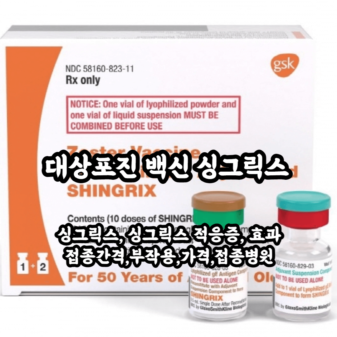 대상포진 백신 싱그릭스 블로그 썸네일