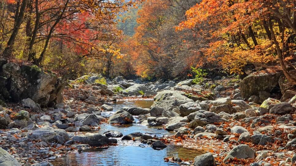 2025 경기도 단풍 트레킹 BEST 7 : 가을 하이킹 완벽 가이드_가평 연인산 명품계곡