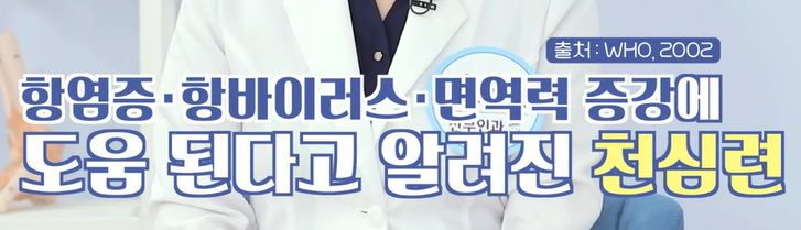 천심련 효능