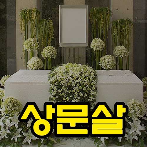 상문살 썸네일