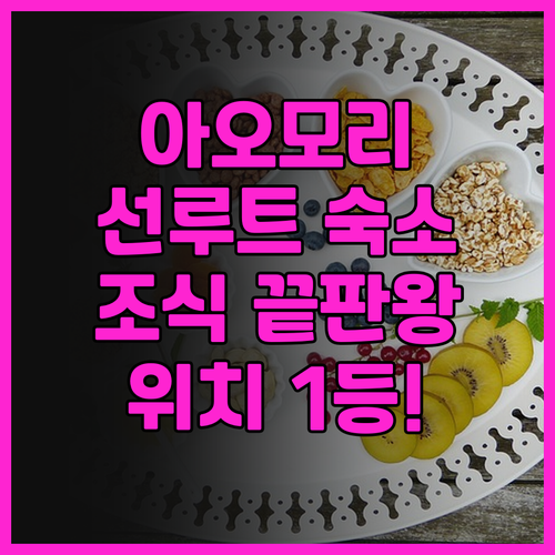 선루트 아오모리 후기 정갈한 아침 식..