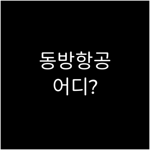 인천공항 중국동방항공 출국 수속 터미..