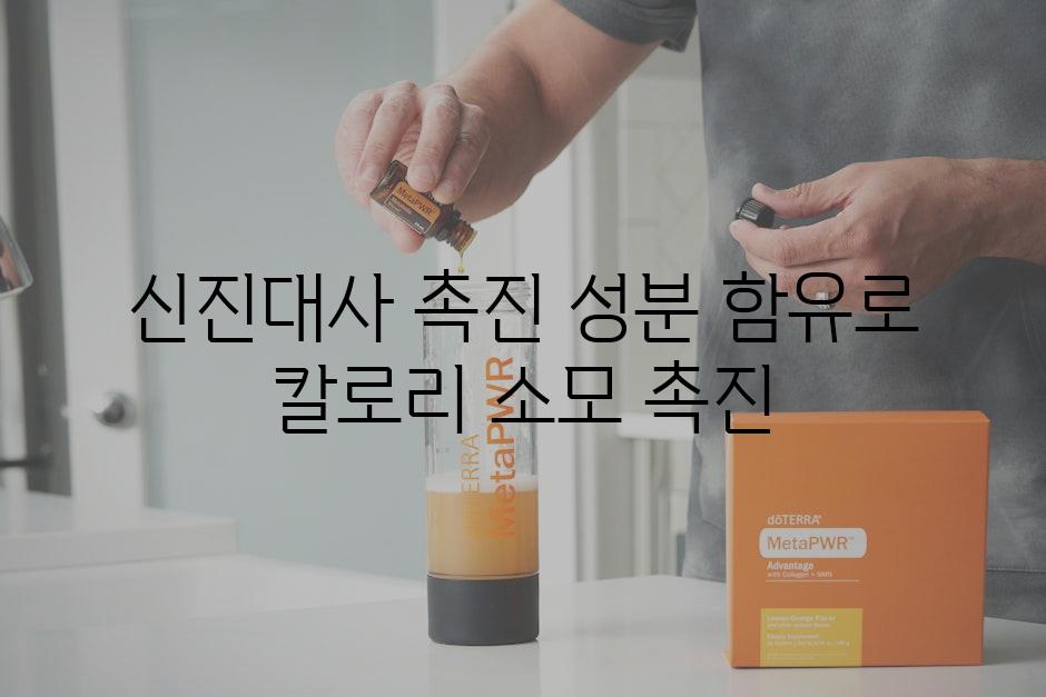 신진대사 촉진 성분 함유로 칼로리 소모 촉진