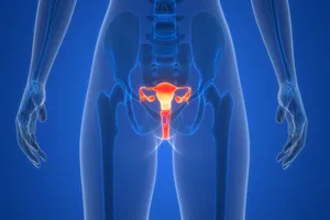 인유두종바이러스-치료