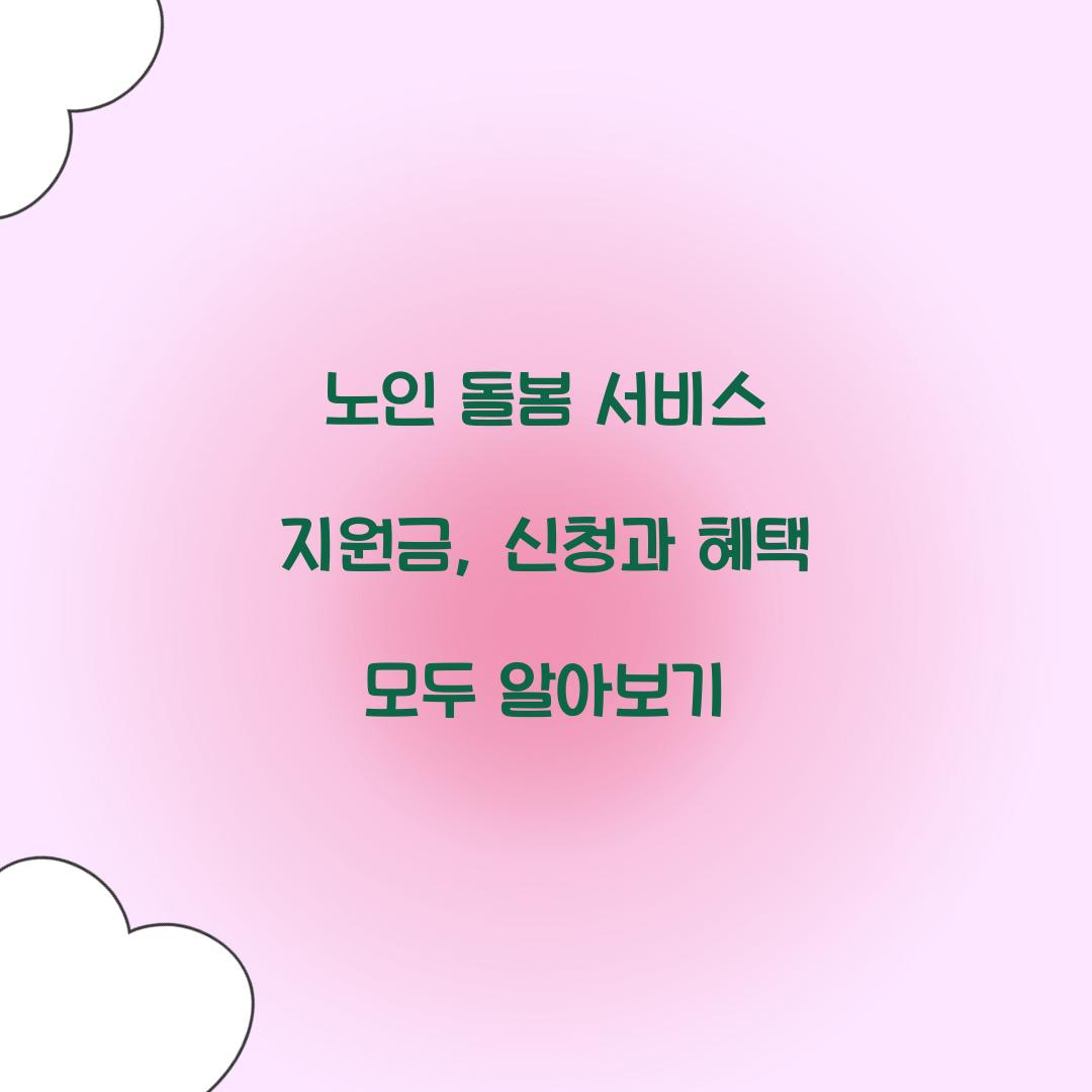 노인 돌봄 서비스 지원금