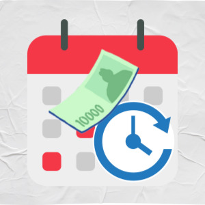 2025 민생회복 소비쿠폰