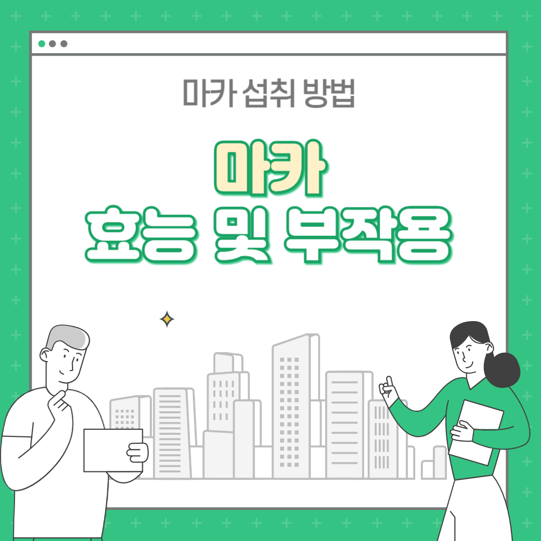 마카 효능 부작용 복용법 : 마카가루, 마카분말 정리