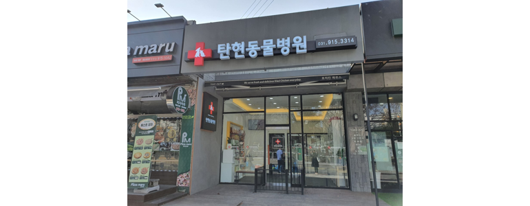 고양 일산서구 동물병원