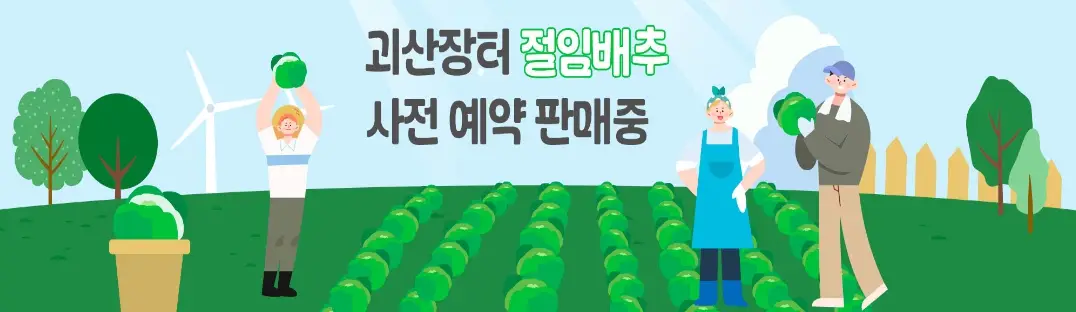 절임배추 20kg 가격 비교, 사전예약 방법