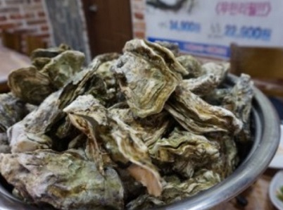 굴찜무한리필