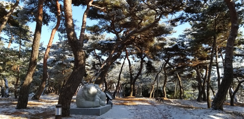 공주 고마나루솔밭