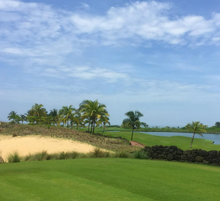 LPGA 블루베이 대회정보 중계 방송 실시간스코어 김아림 윤이나 박성현 