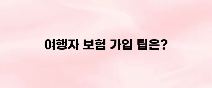 해외 여행자 보험 인터넷 가입방법 및 추천 사이트