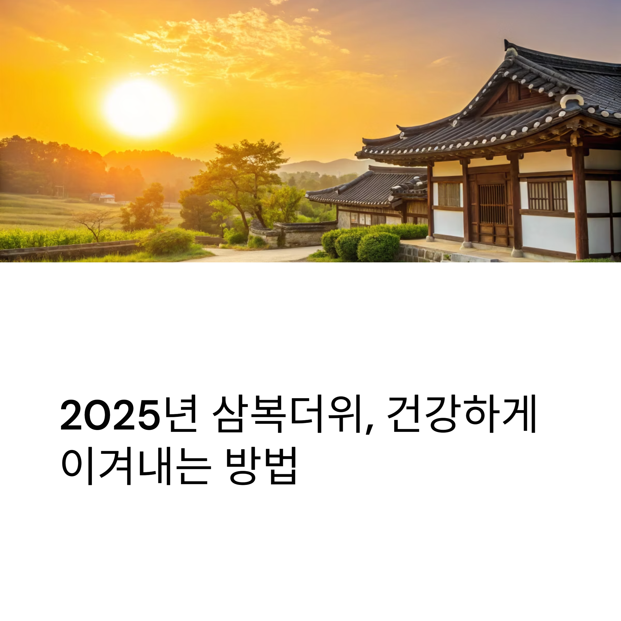2025년 삼복더위, 건강하게 이겨내는 방법