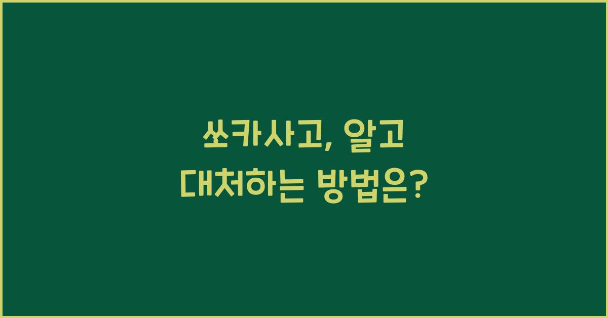 쏘카사고