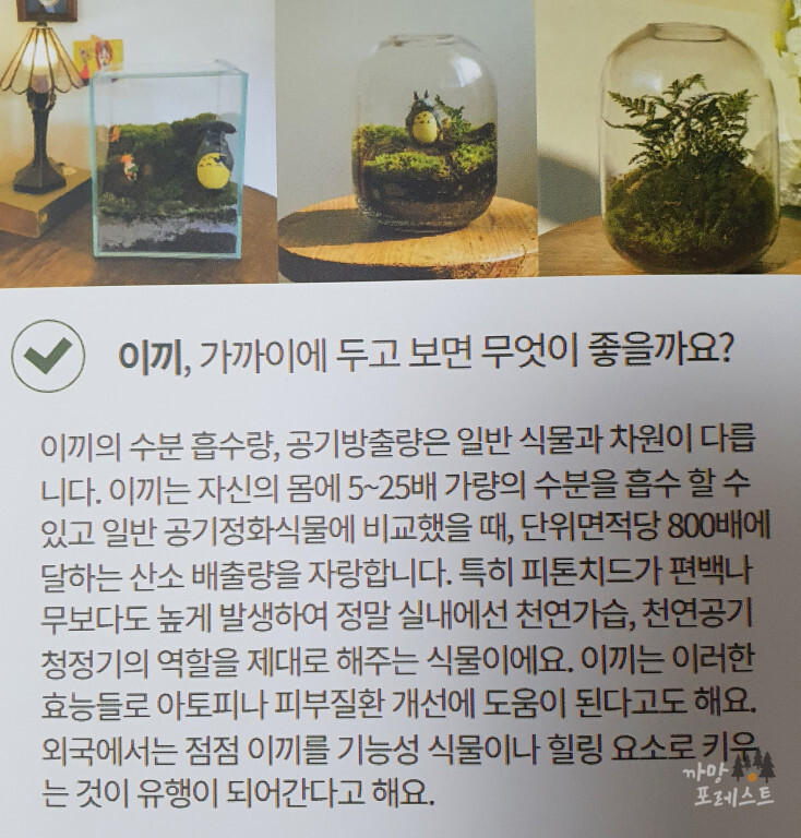이끼 테라리움
