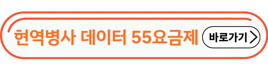 현역병사 데이터 요금제55