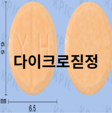 약 성분